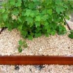 stratinaltat din ipe3